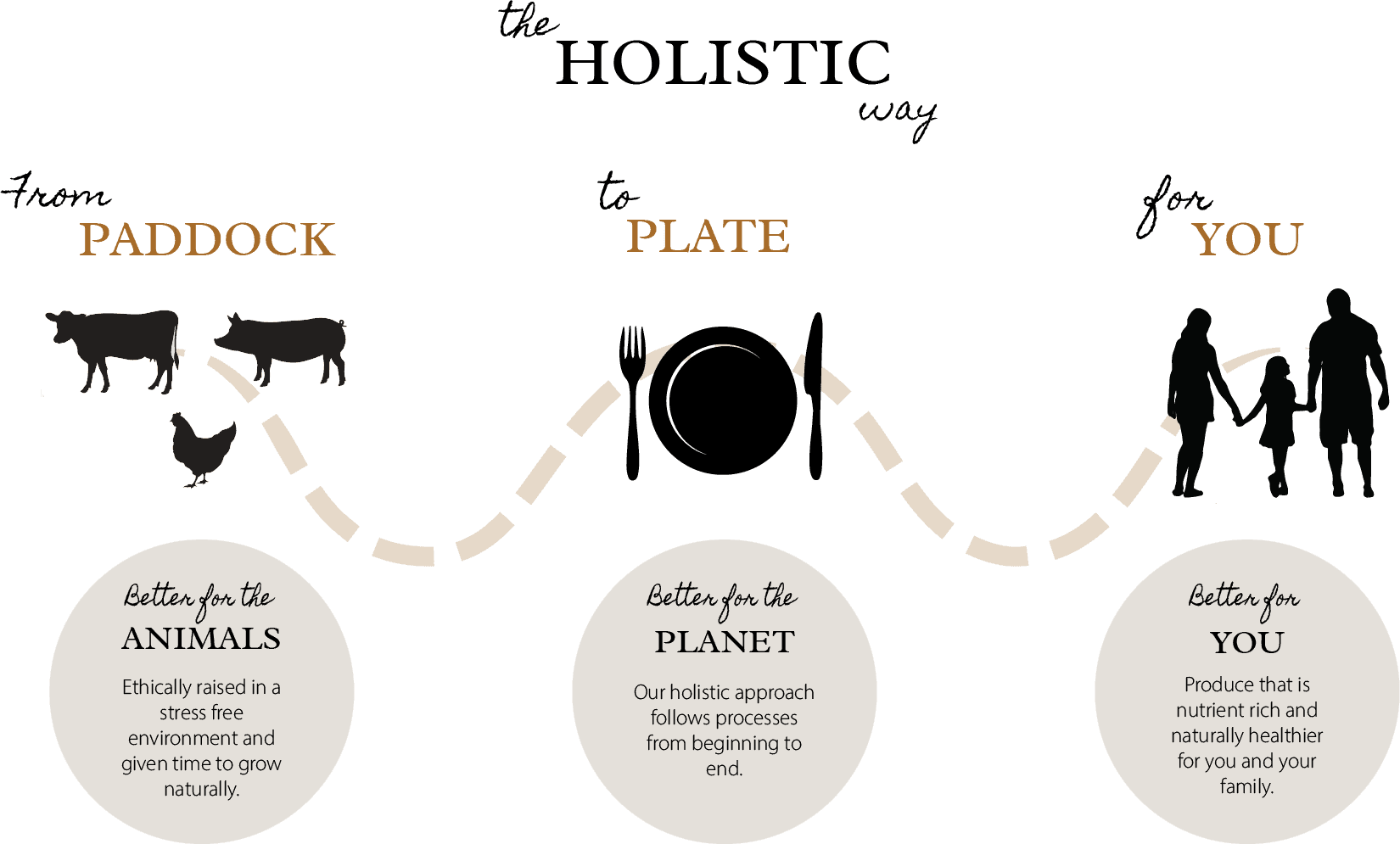Holistic Infographic